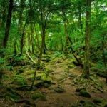 Tak Takut Setan! Ini Dia Lokasi Wisata Paling Seram di Indonesia yang Tetap Viral